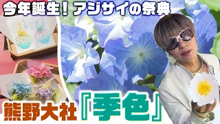 "Tokiiro": The Flower Festival Where Hydrangeas Adorn Kumano Taisha Shrine