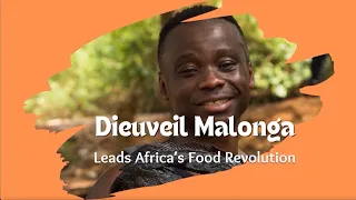 Faces of Africa: Dieuveil Malonga puts Africa’s flavors on the global stage