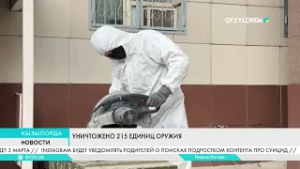 Уничтожено 215 единиц оружия