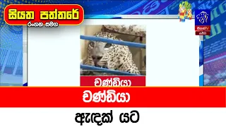 චණ්ඩියා ඇඳක් යට