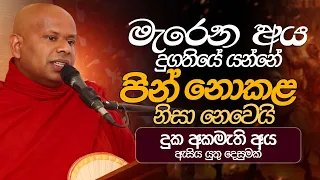 මැරෙන අය දුගතියේ යන්නේ පින් නොකළ නිසා නෙවෙයි.. Ven. Welimada Saddaseela Thero