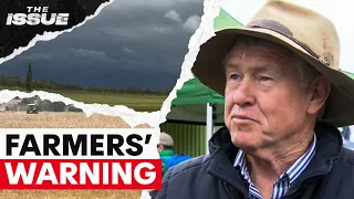 How secure is our food supply? NSW Farmers President warns of spiking supermarket prices | THE ISSUE