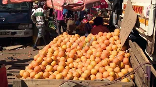 Zimpeto Wholesale Market: Economic agents call for a processing industry