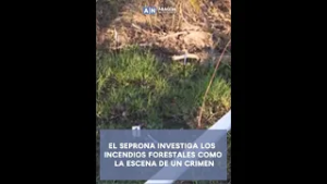 Los incendios forestales se investigan de manera similar a la escena de un incendio
