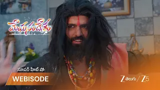 Meghasandesam | దెయ్యం పూజారి రాకతో భయపడిన అపూర్వ, నక్షత్ర?