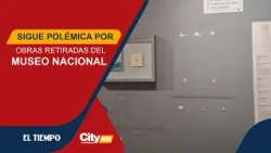 Censorship or curatorial review? Former minister questions removal of National Museum pieces | Ci...