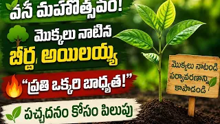 🌱 వన మహోత్సవంలో బీర్ల అయిలయ్య! 🌳 మొక్కలు నాటి కీలక పిలుపు.. “ప్రతి ఒక్కరి బాధ్యత” 🔥..| BT