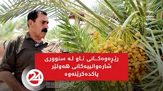 لە گەرمیان جووتیارێک خاوەنی نزیکەی 500 داری خورمایە