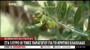 Στα 5 ευρώ το κιλό οι τιμές παραγωγού για το Κρητικό ελαιόλαδο
