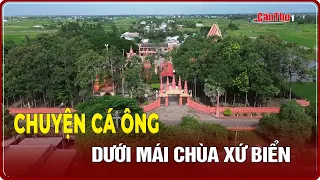 The Legend of the Whale God Beneath the Coastal Pagoda Roof | CT-TDT