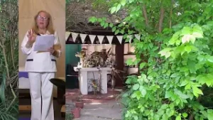 Vida natural y los caminos de la vida, capitulo 3.-