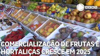 Fruit and vegetable trade reaches 16.6 million tons in 2025