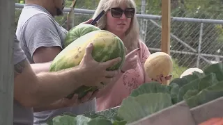 Shoppers turn to local produce amid Cyclospora Outbreak
