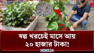 শখই আজ পরিণত হয়েছে লাভজনক ব্যবসায়! | NEWS24 Special