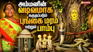 Marmam | குழந்தை இல்லாதவர்களுக்கு பிரசாதமாக வழங்கப்படும் கருமுட்டை | Vasanth TV