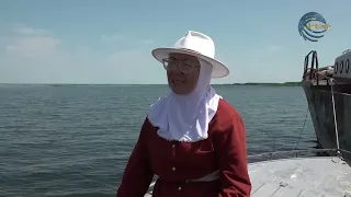 Нәсібін судан терген жандар / Дала сыры / 01.08.2026