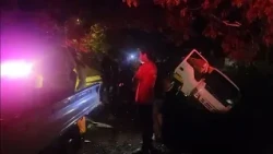 FT TRAFFIC ACCIDENTS IN THE LAST FEW HOURS