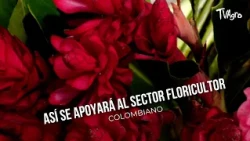 How the Colombian flower industry will be supported - TvAgro by Juan Gonzalo Angel