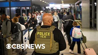 Airport immigration arrests climb as result of increased ICE-TSA collaboration, sources say