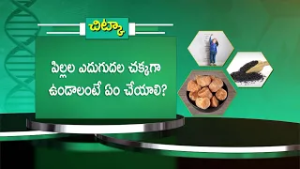పిల్లల ఎదుగుదల చక్కగా ఉండాలంటే ఏం చేయాలి ? | Health Tip | Sukhibhava | ETV Life