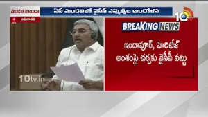 మండలిలో వైసీపీ సభ్యుల ఆందోళన..సభ వాయిదా | YCP Members Protest |  AP Legislative Council | 10TV