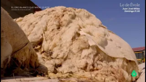 La lana, de oro blanco al quebradero de cabeza de los ganaderos - Equipo de Investigación