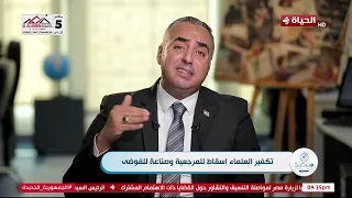مرصد الأزهر - تكفير العلماء إسقاط للمرجعية وصناعة للفوضى