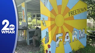 Community Ecology Institute's Freetown Farm cultivates community through nature