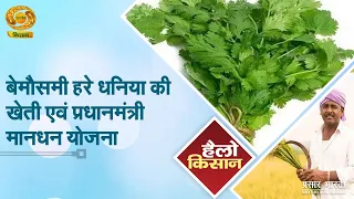 Hello Kisan: बेमौसमी हरे धनिया की खेती एवं प्रधानमंत्री मानधन योजना | DD Kisan | 19/08/2026