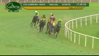 Hipódromo Monterrico   5ta Carrera 17 Agosto 26