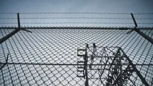 Republicans call on Newsom to fire parole board members