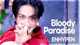 뱀자님들 컴백하셨답니다🧛 ENHYPEN(엔하이픈) 'Bloody Paradise' #뮤직뱅크 | KBS 260821 방송