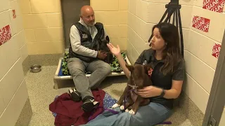 Amanda Hill and Lee Goldberg's sleep-in raises thousands in donations for pet adoption