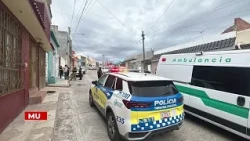 Zacatecas Red Alert Summary