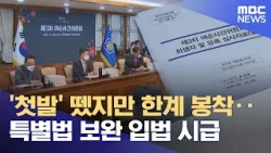 Taking the First Step but Hitting a Wall… Urgent Need for Supplementary Special Legislation (10/1...