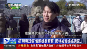 有洋蔥！小獼猴把玩偶「攬牢牢」 背後故事令人動容