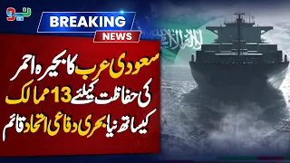 Saudi Arabia Forms New Red Sea Naval Alliance with 13 Countries | NEO News