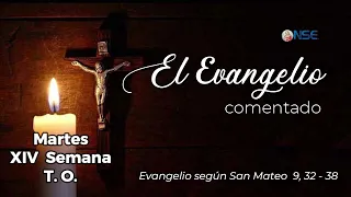 Gospel 📖 commentary July 7🕊️