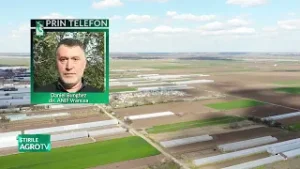 ANIF Vrancea, criză majoră de personal 03 02 2026