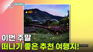 [라이프 매거진] 이번 주말에 떠나기 좋은 추천 여행지! [무엇이든 물어보세요] | KBS 260904 방송