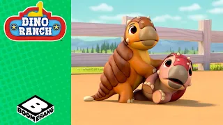 Stop Fighting | Dino Ranch | Boomerang Italy