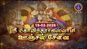 Sri Govindarajaswamy vari || Unjal seva || Tirupati || SVBC2 Tamil || 19-02-2026 || SVBC TTD
