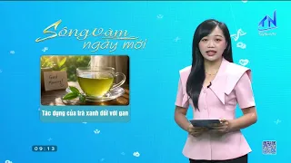 Healthcare – The Effects of Green Tea on the Liver