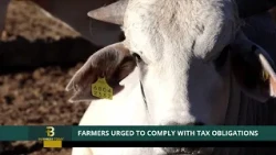 BUSINESS TODAY | NAMRA URGES FARMERS TO COMPLY WITH TAX OBLIGATIONS - nbc