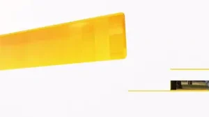 University of Notre Dame Students Speak Out Over Pro-Abortion Appointment | EWTN News In Depth