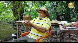 SIEMBRA Y CRÍA - EL CAFÉ