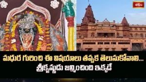 మధుర గురించి ఈ విషయాలు తప్పక తెలుసుకోవాలి... శ్రీకృష్ణుడు జన్మించింది ఇక్కడే | Secrets of Mathura