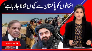 Pakistan's Crackdown on Afghan Refugees Draws Global Attention | Taliban | Pakistan | Asim Munir