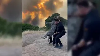 "There are many dead animals": volunteers ask to be allowed to rescue horses and pets