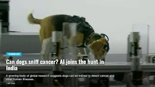 Can dogs sniff cancer? AI joins the hunt in India